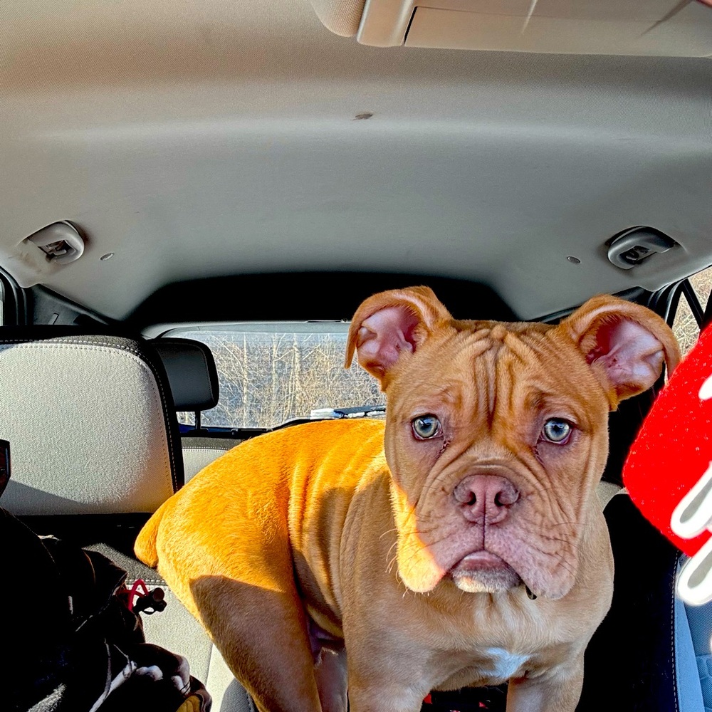 Meet your Posher, Cassy-Jo